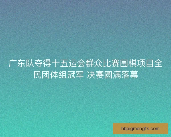 广东队夺得十五运会群众比赛围棋项目全民团体组冠军 决赛圆满落幕