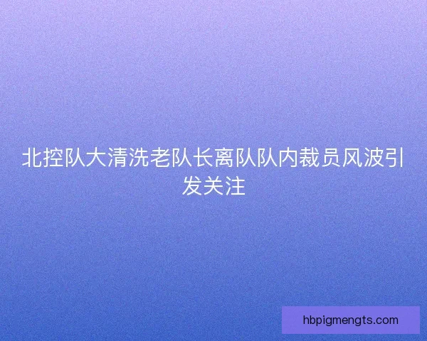 北控队大清洗老队长离队队内裁员风波引发关注