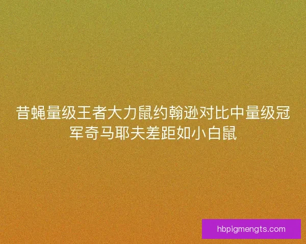 昔蝇量级王者大力鼠约翰逊对比中量级冠军奇马耶夫差距如小白鼠 昔蝇量级王者大力鼠约翰逊对比中量级冠军奇马耶夫差距如小白鼠