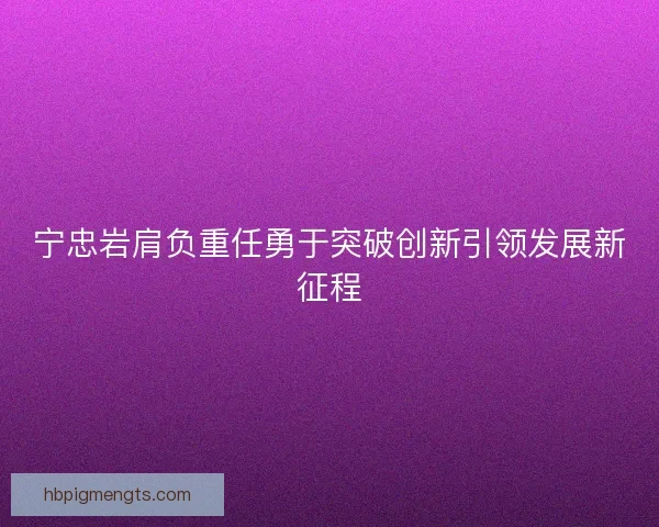 宁忠岩肩负重任勇于突破创新引领发展新征程