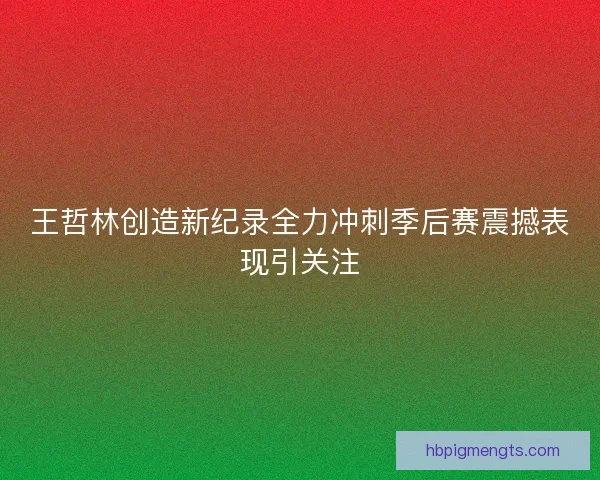 王哲林创造新纪录全力冲刺季后赛震撼表现引关注 王哲林创造新纪录全力冲刺季后赛震撼表现引关注