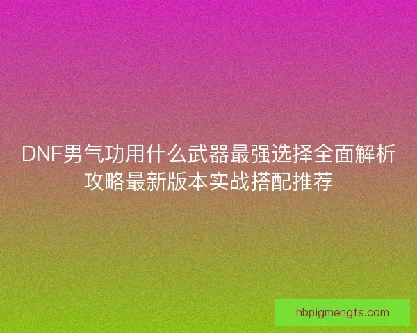 DNF男气功用什么武器最强选择全面解析攻略最新版本实战搭配推荐